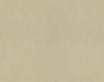 [100111113_20] Marmoleum Concrete - 3761 Titan